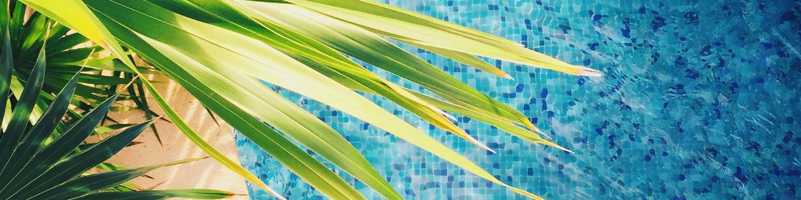 jardines y piscinas rústicas