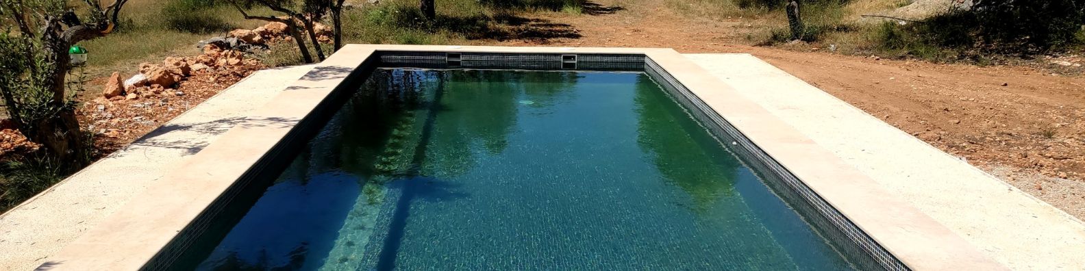 piscina naturalizada